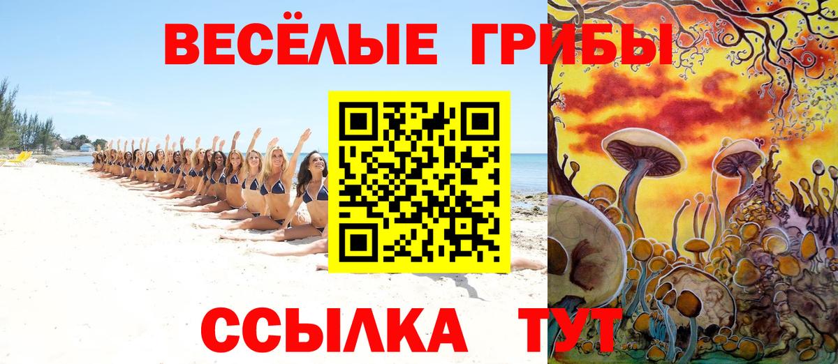 Галлюциногенные грибы мицелий  Вход с VPN  Баксан 