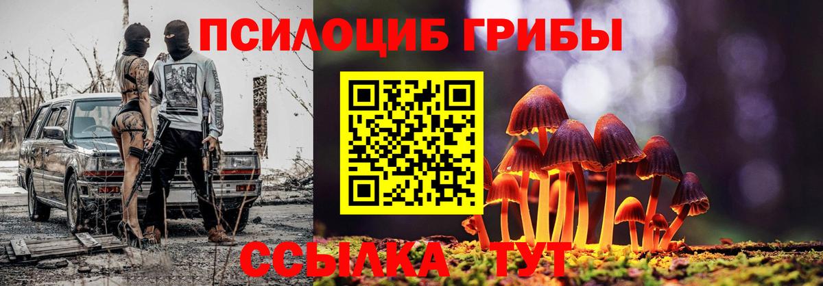 Галлюциногенные грибы прущие грибы Баксан